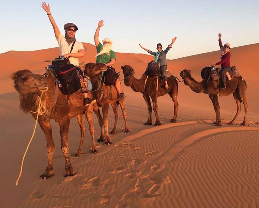 Camel